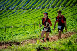 BIB: 2008, 3487, 
                            <button type="button" onclick="openModal(19162710)" class="btn btn-primary btn-sm float-right btn-popup" data-toggle="modal" data-target=".modal-high-quality">
                        <i class="fas fa-shopping-cart"></i> Add to Cart
                    </button>
                                            <button type="button" onclick="isThisMe(19162710, true)" class="btn btn-success btn-sm float-right btn-popup btn-isme hidden" data-toggle="tooltip" data-placement="bottom" title="นี่คือรูปของคุณใช่ไหม คลิกที่นี่เพื่อเอาเข้าอัลบั้ม">
                        <i class="fas fa-plus"></i> Add to album
                    </button>
                    <button type="button" onclick="isThisMe(19162710, false)" class="btn btn-warning btn-sm float-right btn-popup btn-isnotme hidden">
                        <i class="fas fa-ban"></i> Remove from album
                    </button>